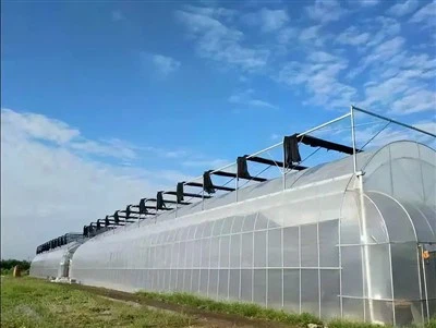 Anti Condensation Greenhouse Zaj duab xis